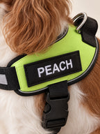 Close-up of the black name patch reading PEACH on a lime harness