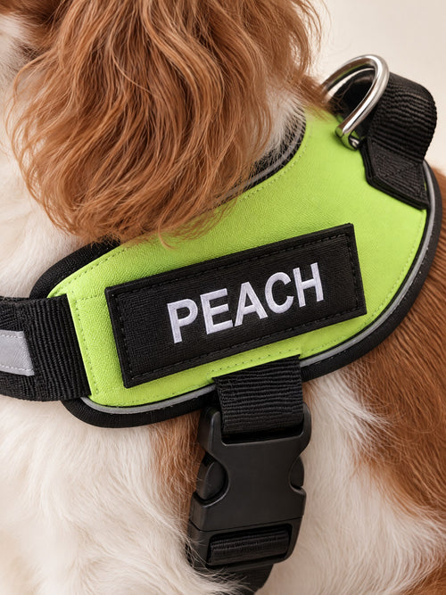 Close-up of the black name patch reading PEACH on a lime harness