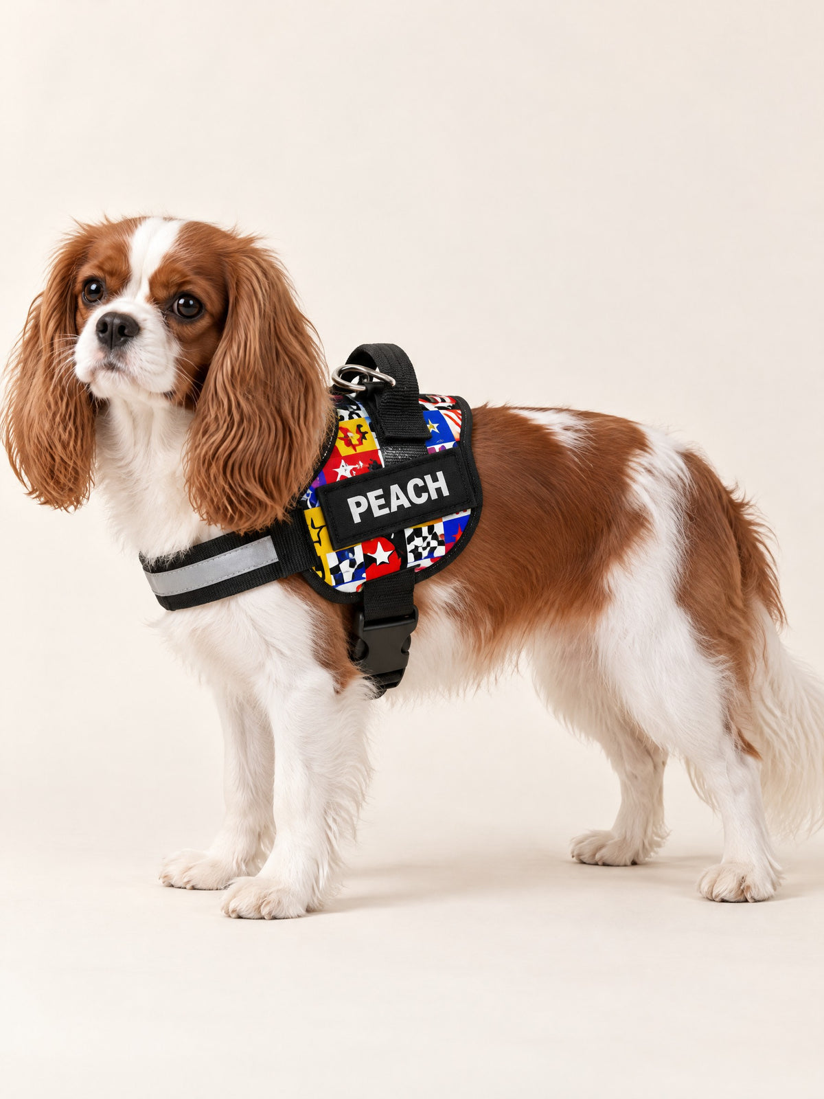 Racing harness on a Cavalier, name patch PEACH
