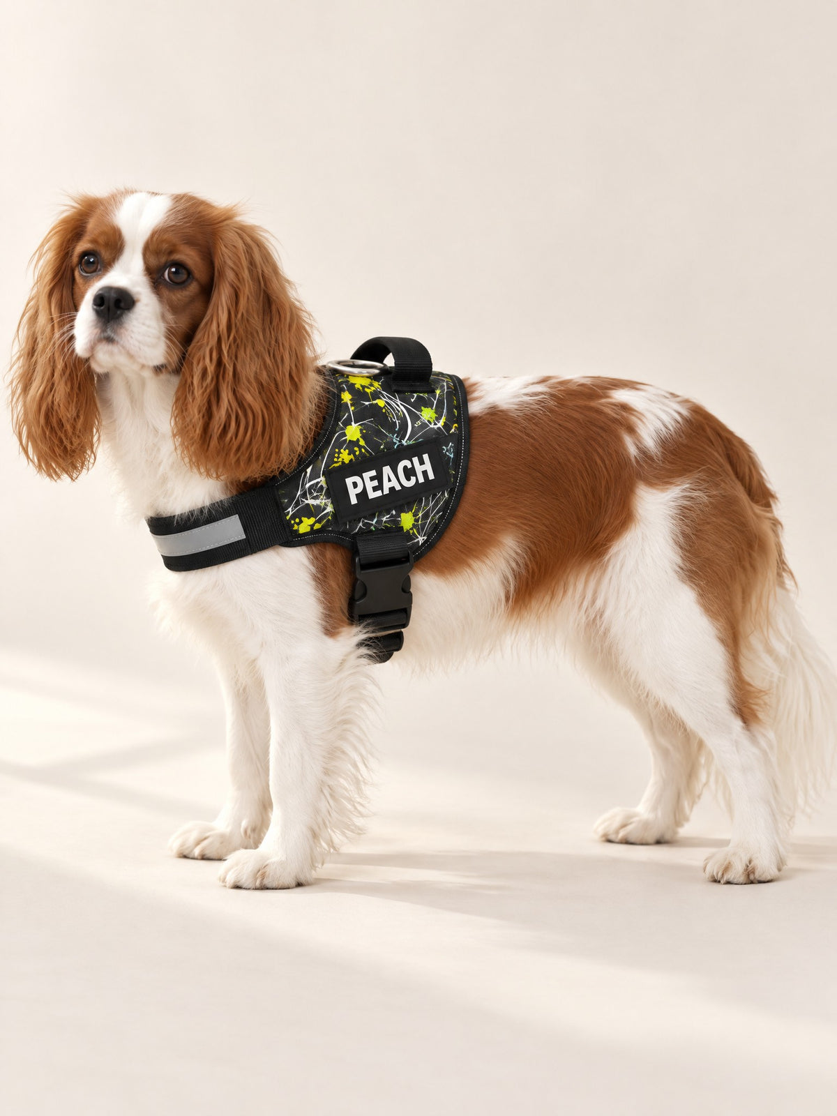 Splatter harness on a Cavalier, name patch PEACH